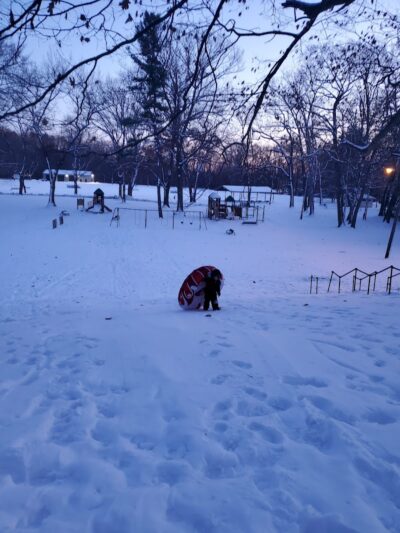 Martin Park - East Hartford, CT
