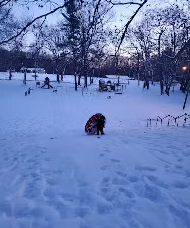 Martin Park - East Hartford, CT