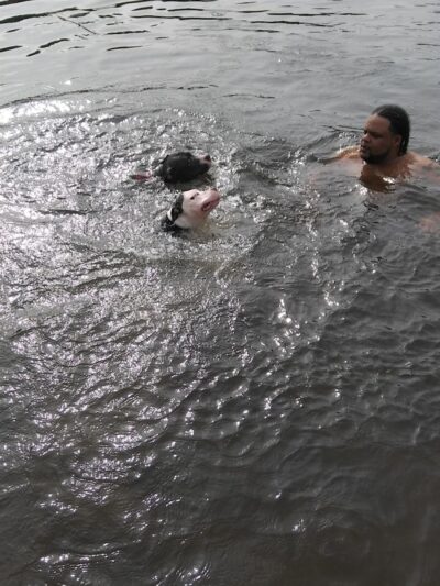 P&F Private Pond - East Hartford, CT