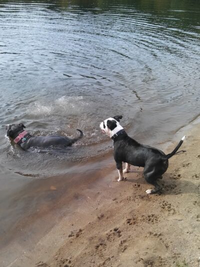 P&F Private Pond - East Hartford, CT