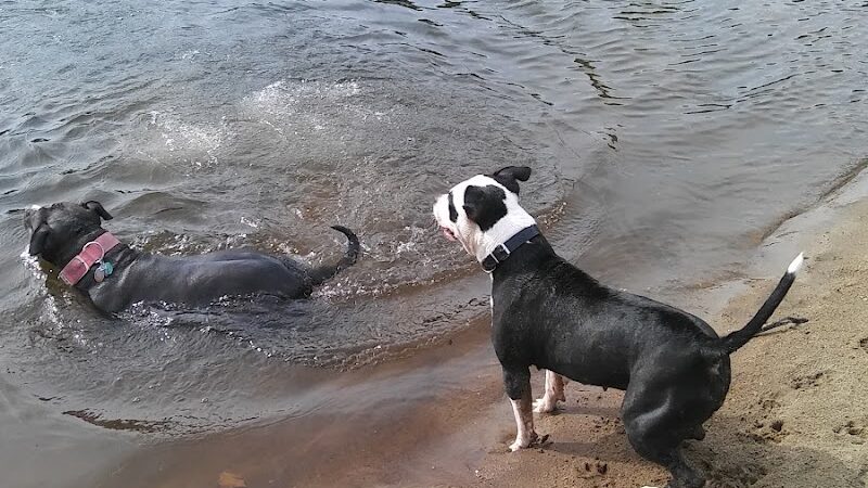 P&F Private Pond - East Hartford, CT