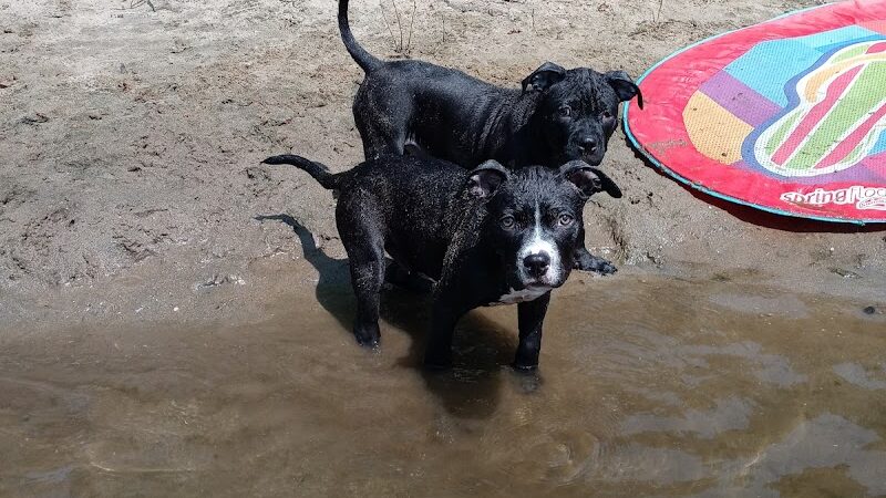 P&F Private Pond - East Hartford, CT