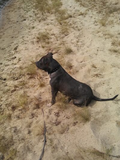 P&F Private Pond - East Hartford, CT