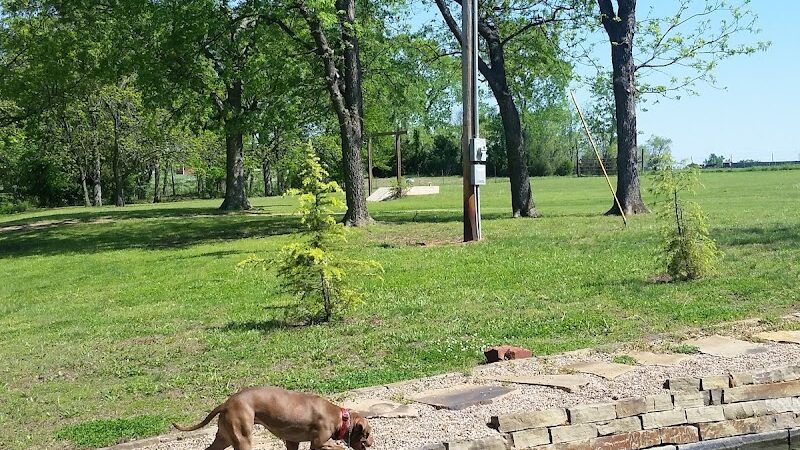 Pack Leaders Rescue of CT - East Hartford, CT