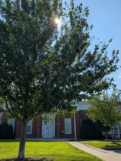 Hockanum Park - East Hartford, CT