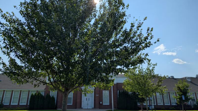 Hockanum Park - East Hartford, CT