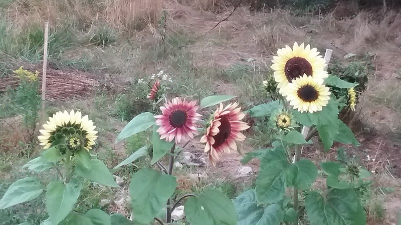 East Machias - East Machias, ME