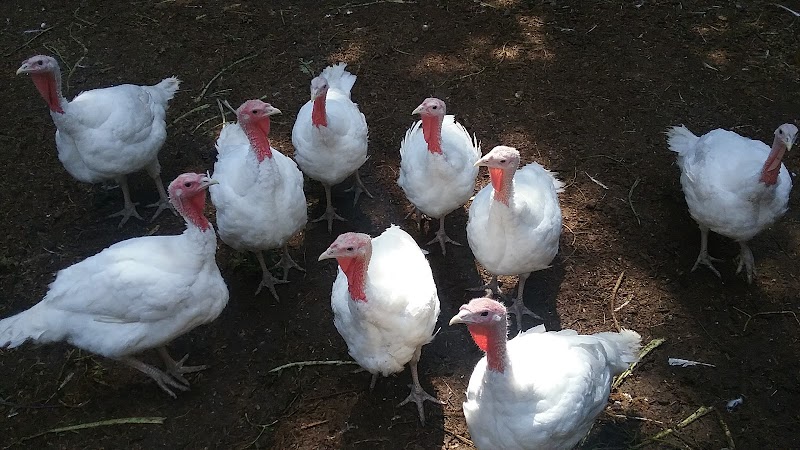 East Machias - East Machias, ME