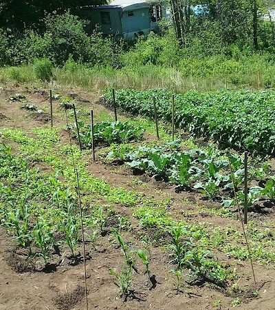 East Machias - East Machias, ME