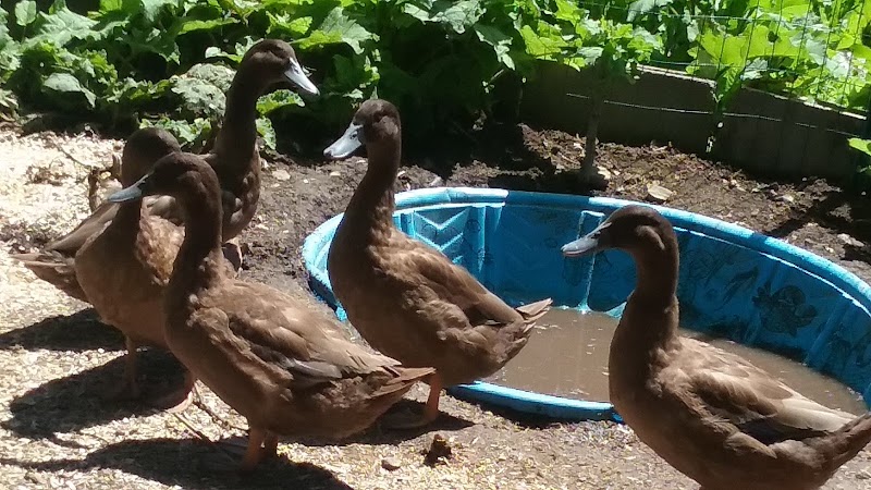 East Machias - East Machias, ME