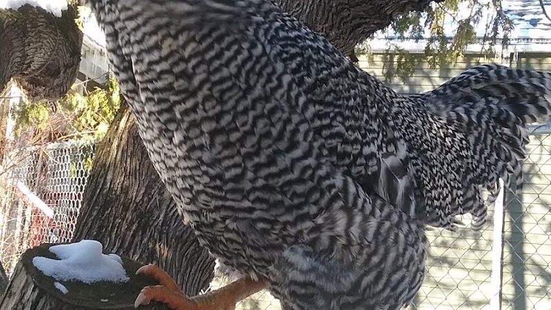 East Machias - East Machias, ME