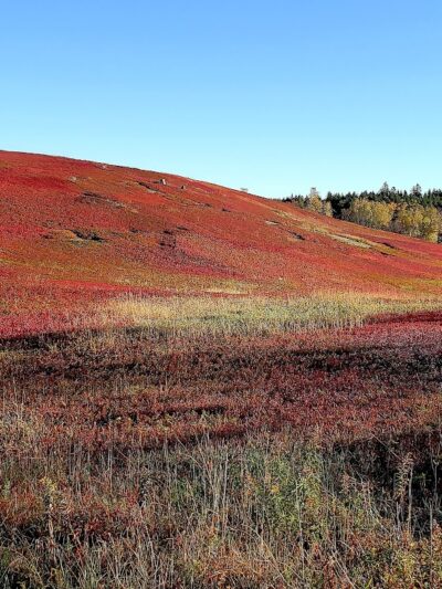 East Machias - East Machias, ME