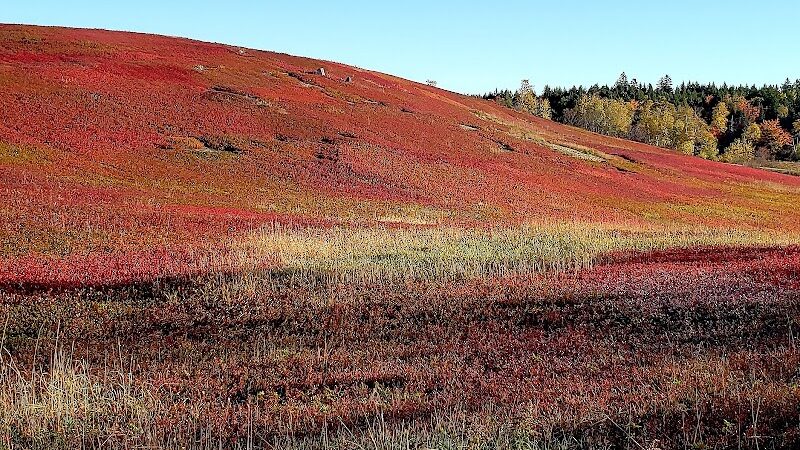 East Machias - East Machias, ME