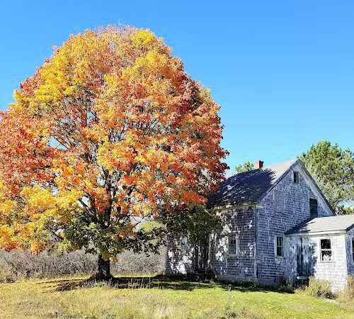 East Machias - East Machias, ME