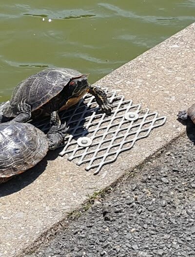 Veterans Memorial - East Meadow, NY