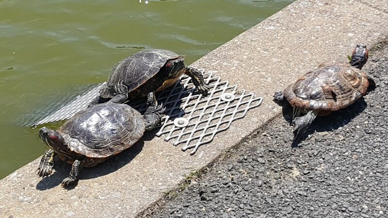 Veterans Memorial - East Meadow, NY