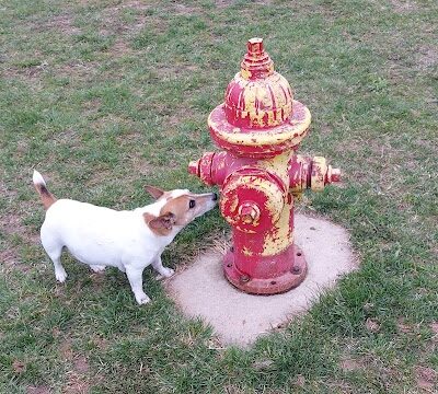 Brady Park - East Peoria, IL