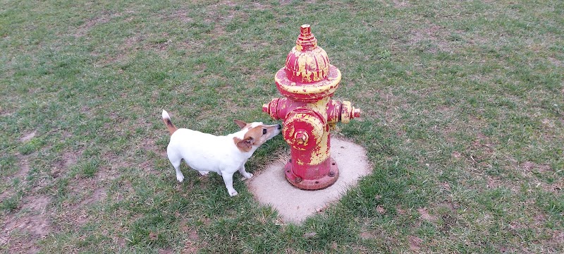 Brady Park - East Peoria, IL