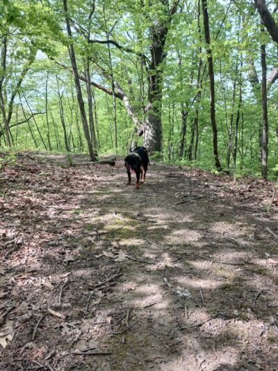 Brady Park - East Peoria, IL