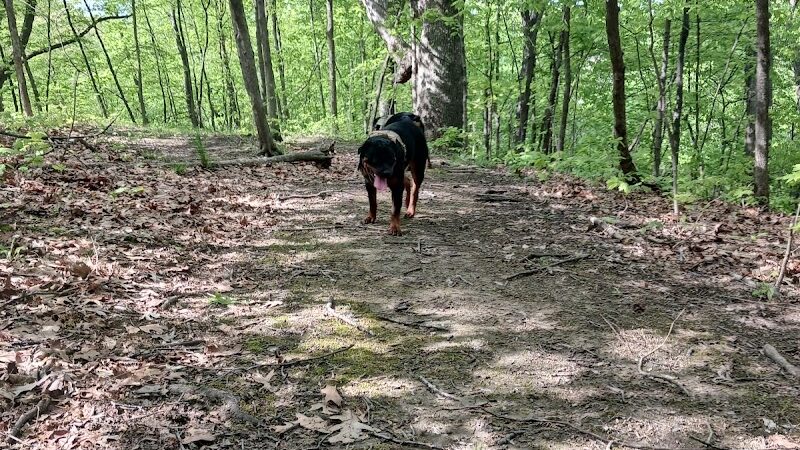 Brady Park - East Peoria, IL