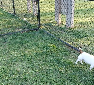 Brady Park - East Peoria, IL