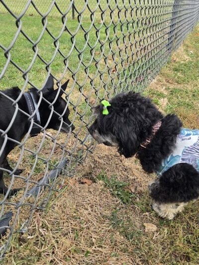 Brady Park - East Peoria, IL