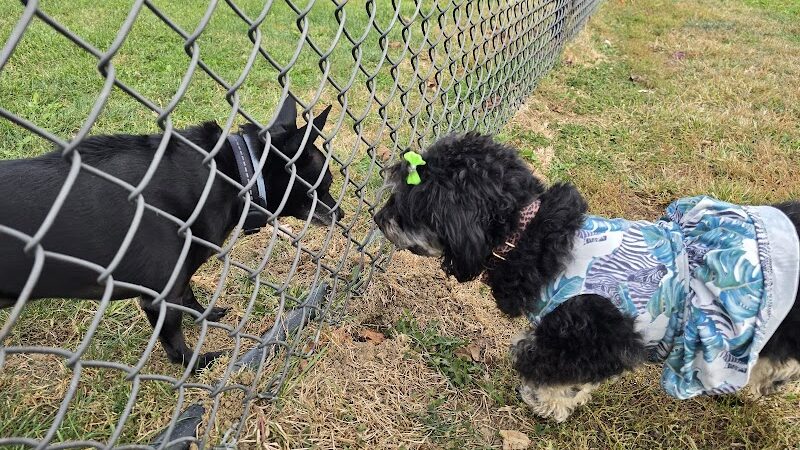 Brady Park - East Peoria, IL