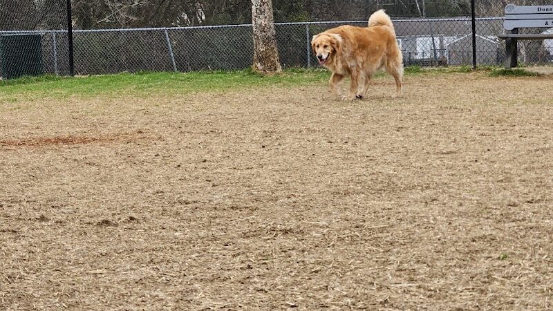 East Ridge Dog Park - East Ridge, TN