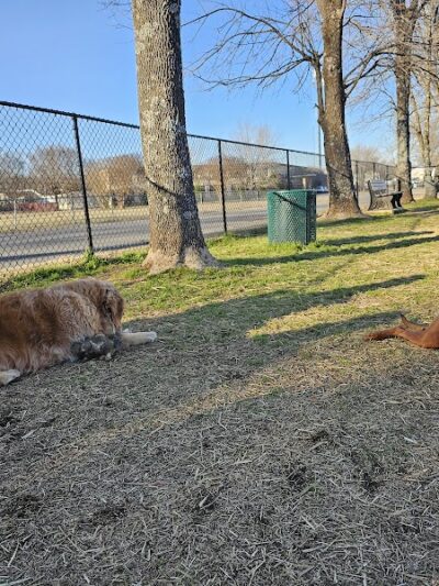 East Ridge Dog Park - East Ridge, TN