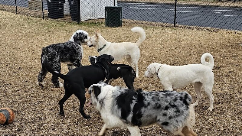 East Ridge Dog Park - East Ridge, TN