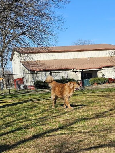 East Ridge Dog Park - East Ridge, TN
