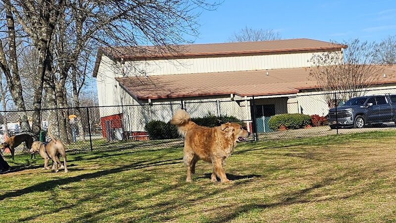 East Ridge Dog Park - East Ridge, TN