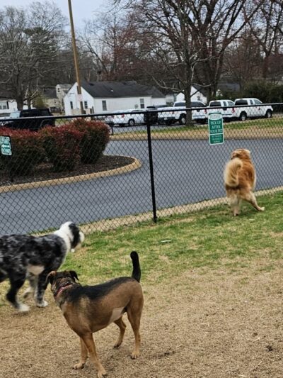 East Ridge Dog Park - East Ridge, TN