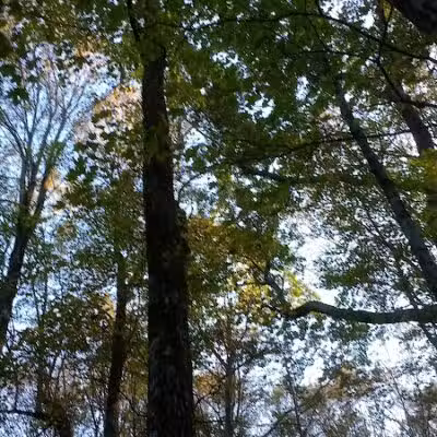 Schodack Town Park - East Schodack, NY