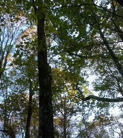 Schodack Town Park - East Schodack, NY