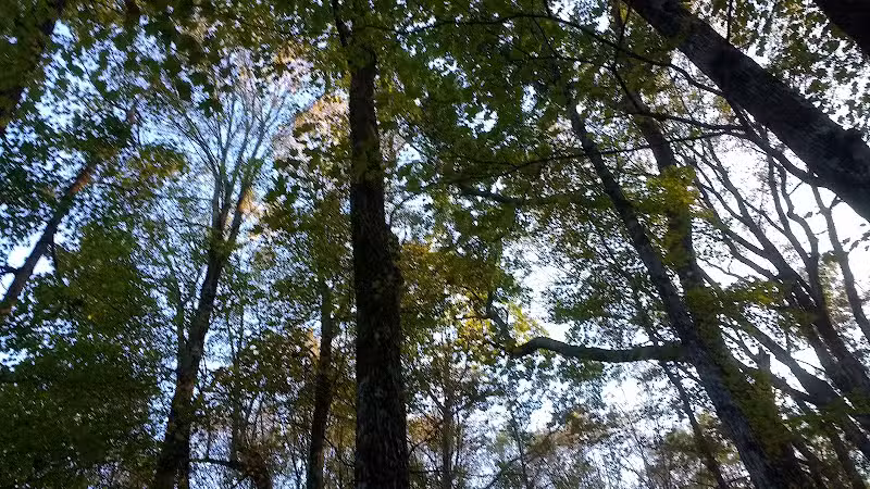 Schodack Town Park - East Schodack, NY