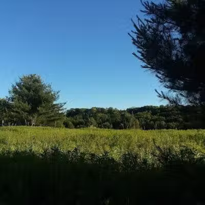 Schodack Town Park - East Schodack, NY