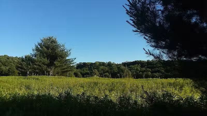 Schodack Town Park - East Schodack, NY