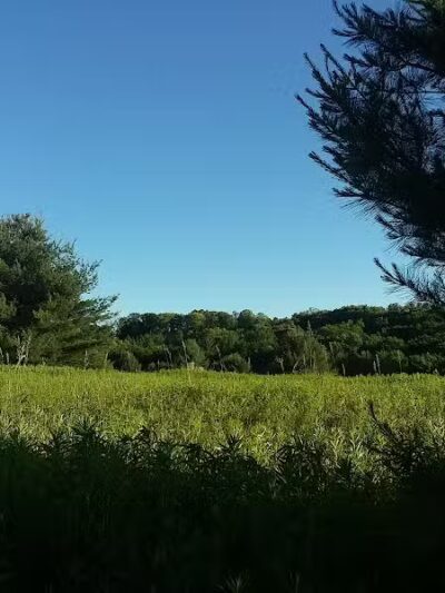 Schodack Town Park - East Schodack, NY