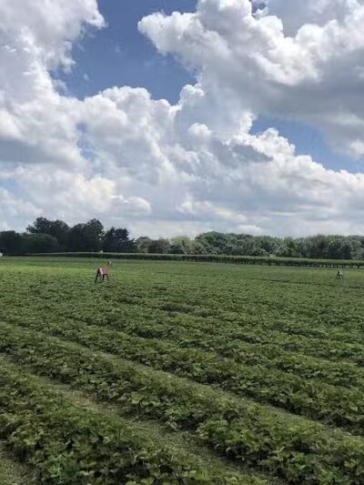 Anker Park - East Windsor, NJ