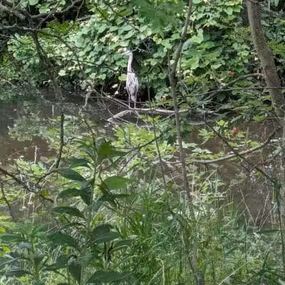 Anker Park - East Windsor, NJ
