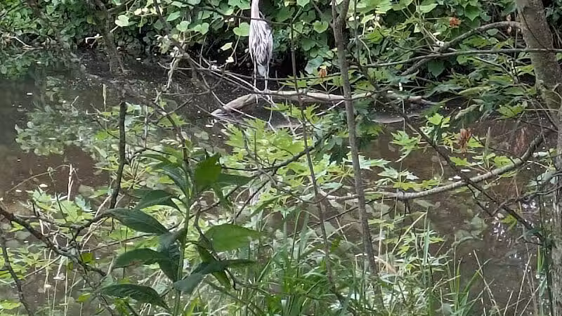 Anker Park - East Windsor, NJ