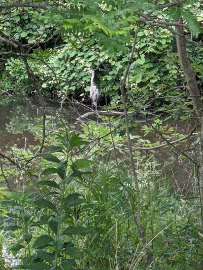 Anker Park - East Windsor, NJ