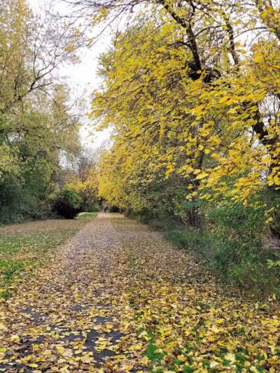 Anker Park - East Windsor, NJ