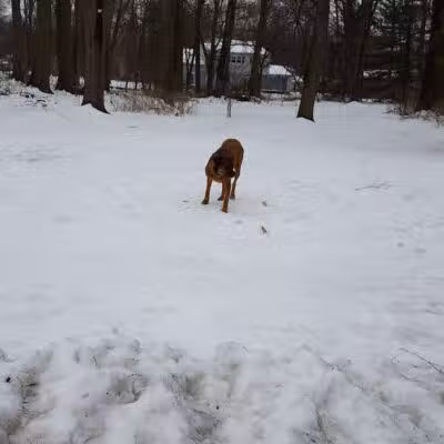 Bear Brook - East Windsor, NJ