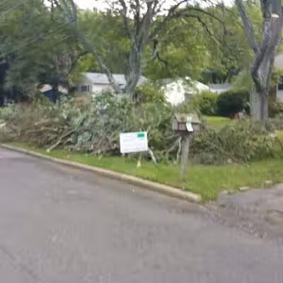 Bear Brook - East Windsor, NJ