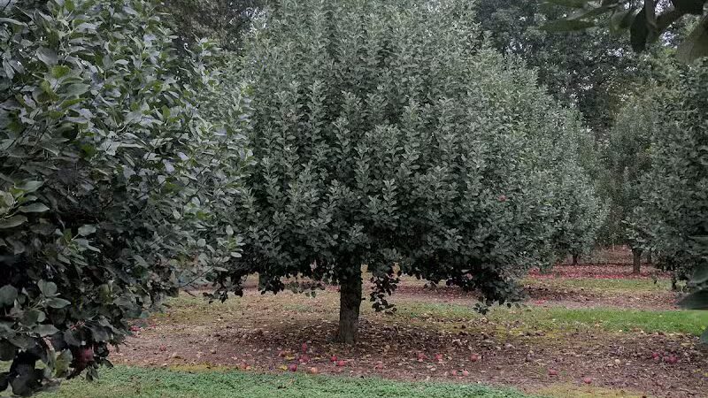 Bear Brook - East Windsor, NJ