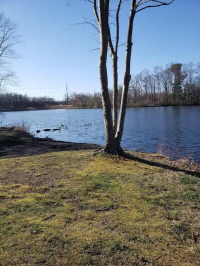 Etra Lake Park - East Windsor, NJ