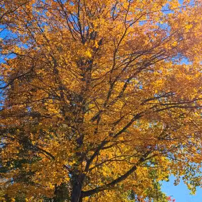 Etra Lake Park - East Windsor, NJ