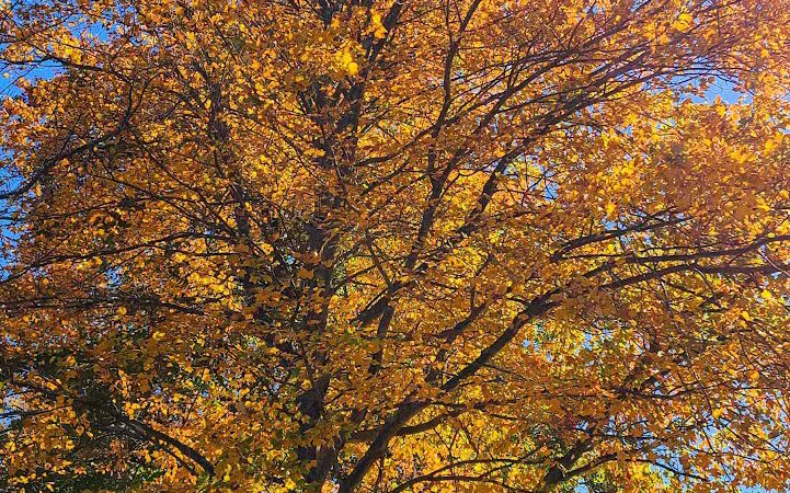 Etra Lake Park - East Windsor, NJ